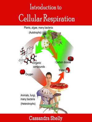 cover image of Introduction to Cellular Respiration